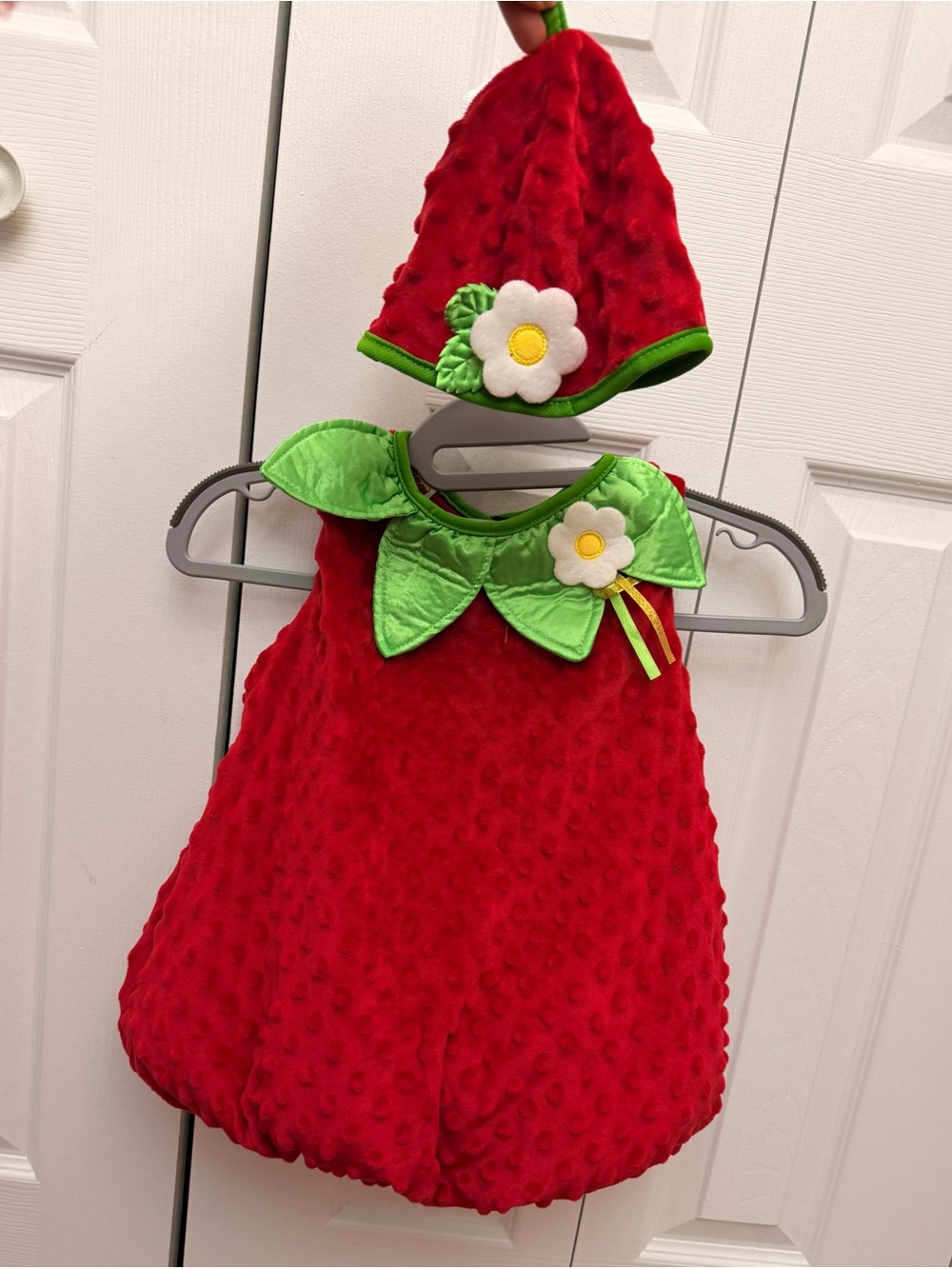 Red Strawberry Dress Costume with Green Leaf Collar and Flower Hat